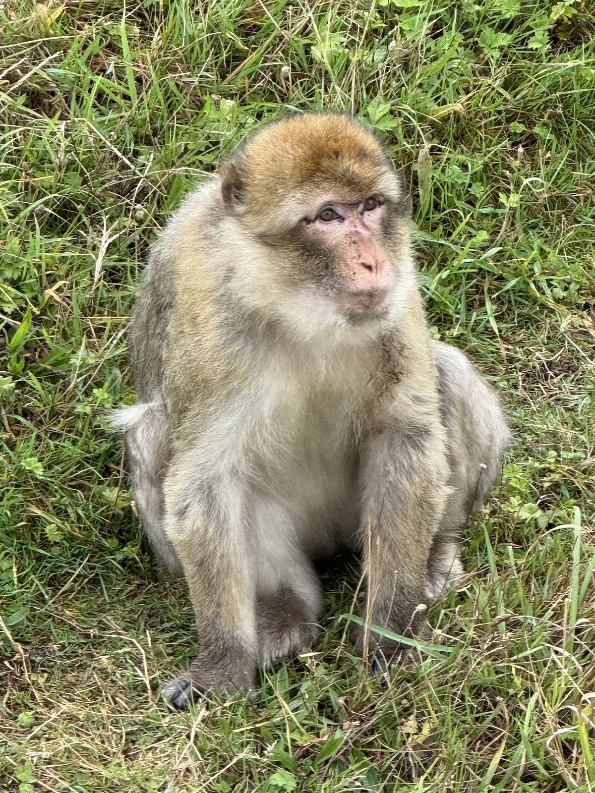 Jimmy's Farm & Wildlife Park — photo 3