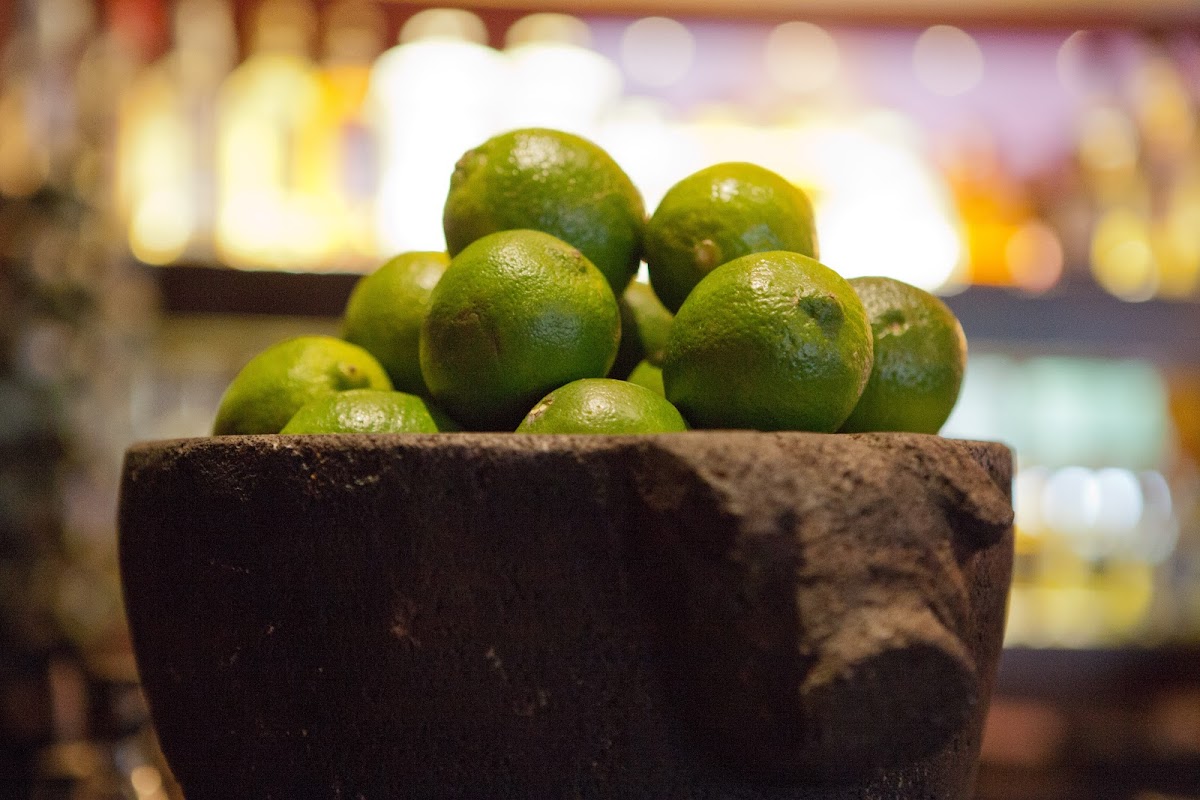 Mestizo Mexican Restaurant & Tequila Bar — photo 2