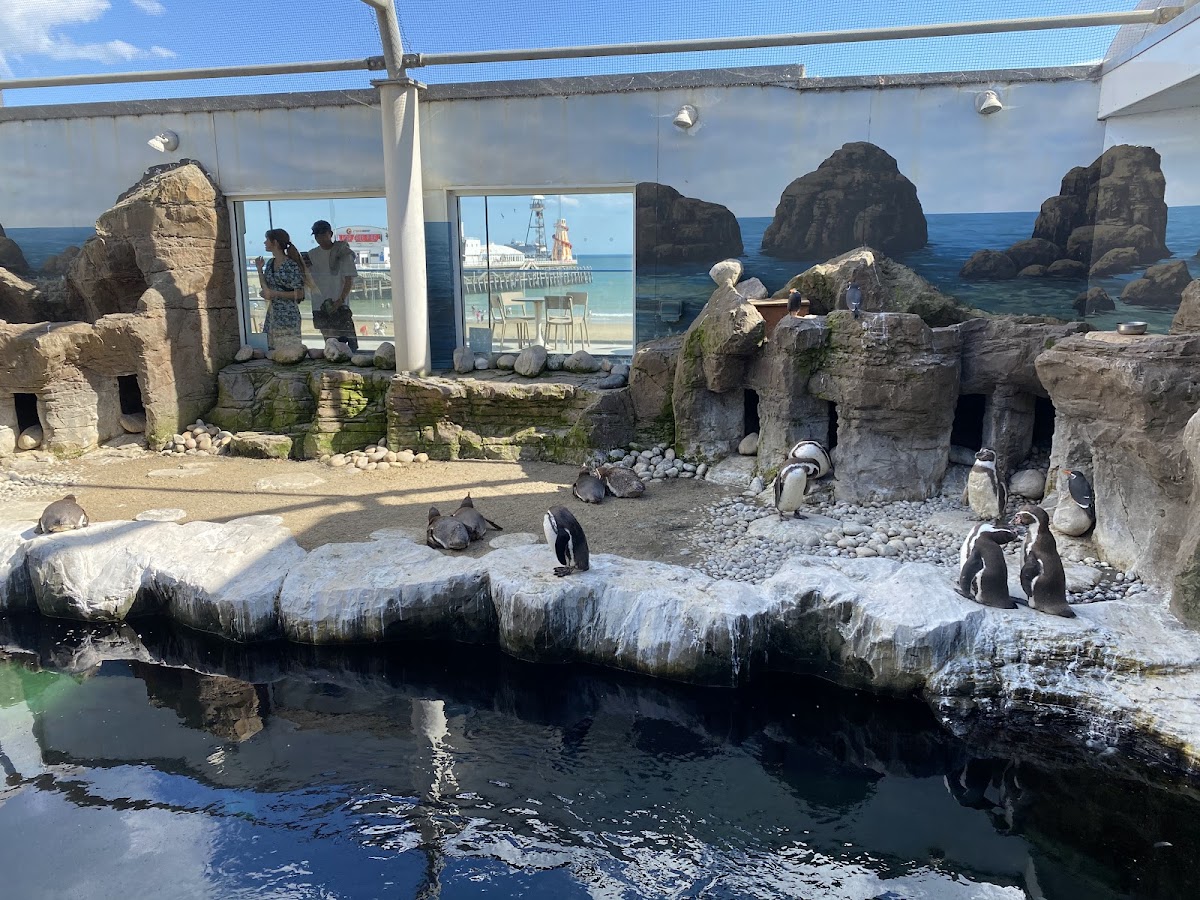 Oceanarium — photo 3