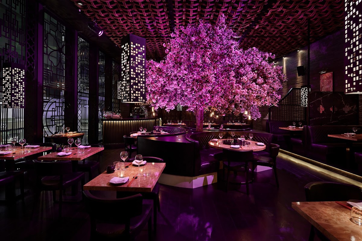 Tattu Manchester