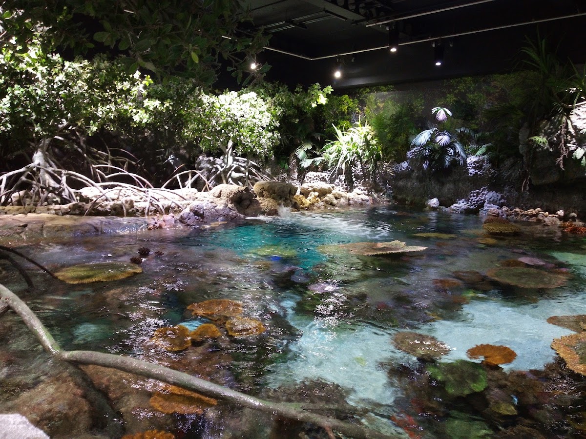 The Deep — photo 2